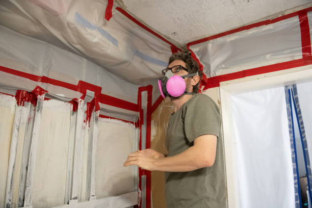 Best Mold Odor Removal Services  in USA